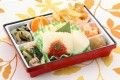 本日のメニュー