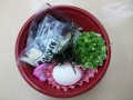 本日のメニュー