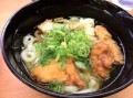本日のメニュー